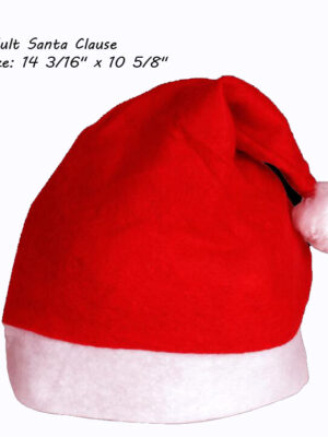 Santa Clause hat