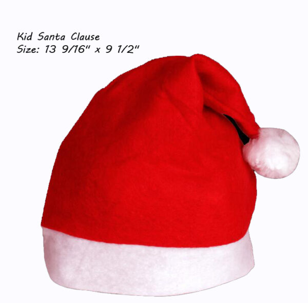 Santa Clause hat